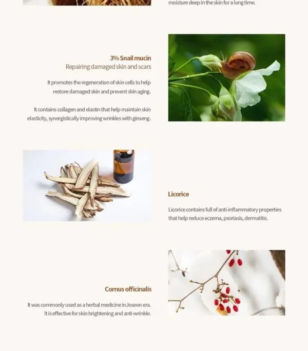 Beauty of Joseon - Revive Serum