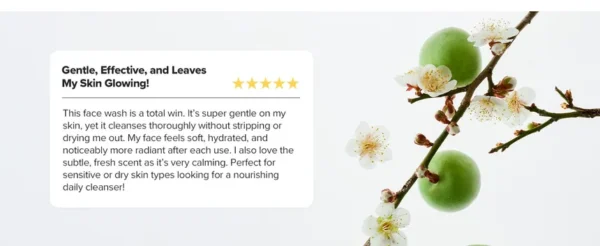 Beauty of Joseon - Green Plum Refreshing Cleanser
