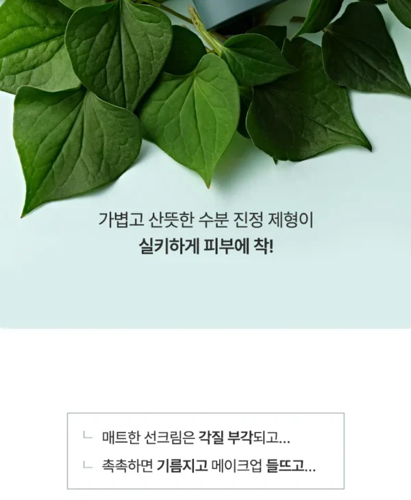 Anua - Heartleaf Silky Moisture Sun Cream